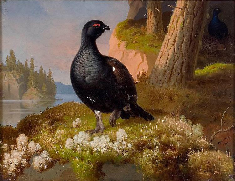 Ferdinand von Wright Black Grouses 1864 China oil painting art